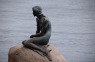COPENHAGEN SIRENETTA